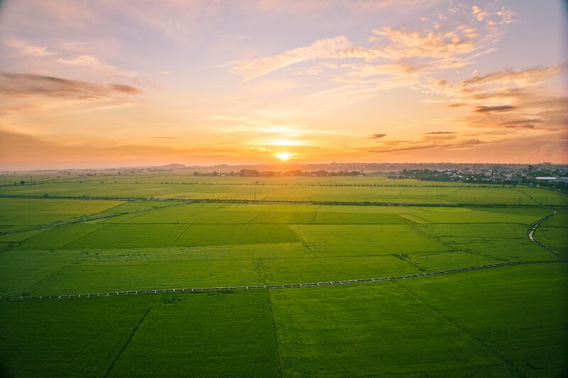 Shutterstock 2515364533